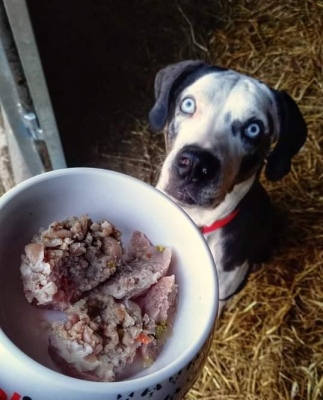 Byrdfood